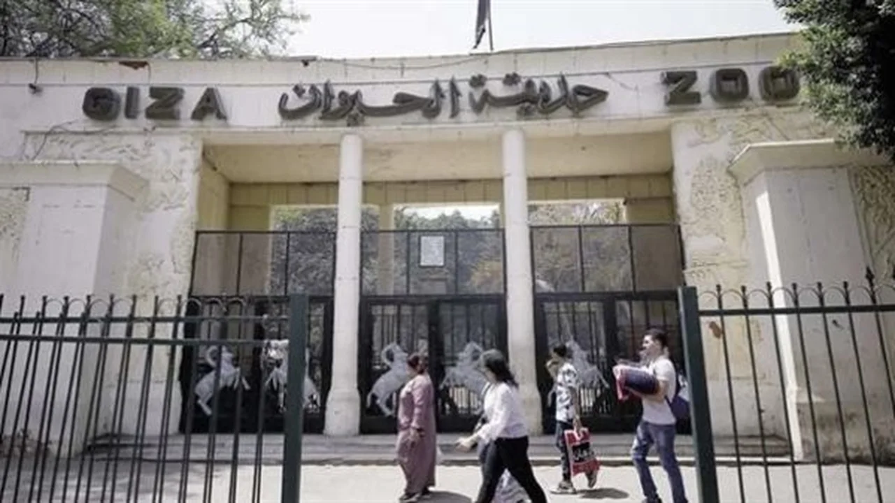 افتتاح حديقة حيوان الجيزة بعد تطوير شامل يعيد الوجه الترفيهي والثقافي للمكان في 2025